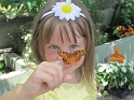 RTvisit_HNPreserve (6)